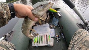 На какие воблеры я ловлю летом. Pontoon 21 Grace Sonda, Psychogun и окуни