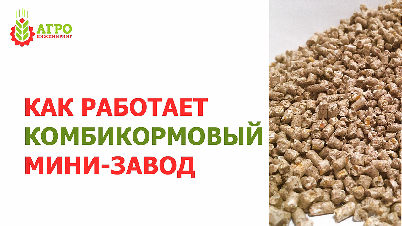 Процесс работы и как устроен комбикормовый мини-завод КЗМ у нашего клиента.