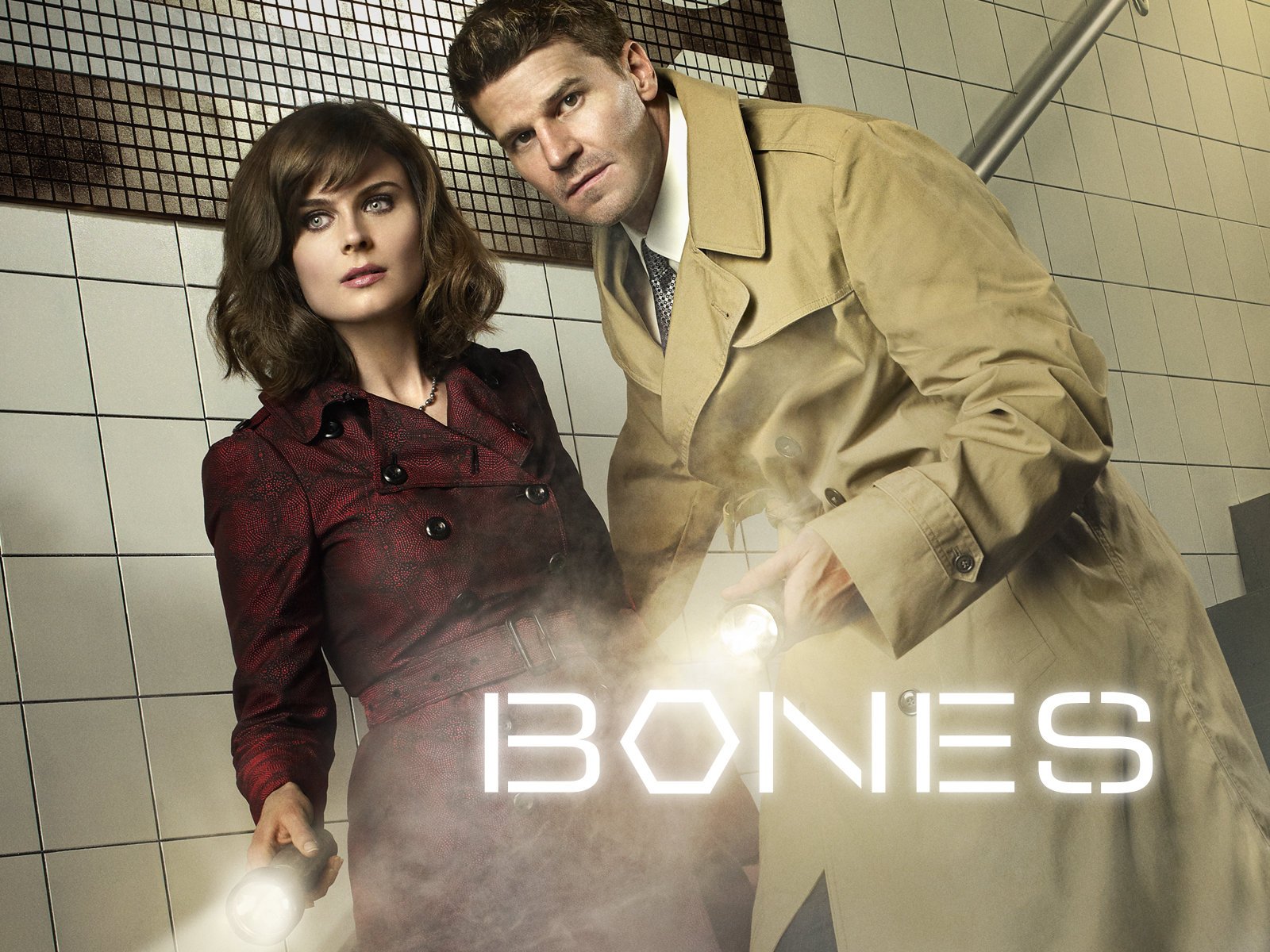 Кости - сезон 9 серия 1 / Bones