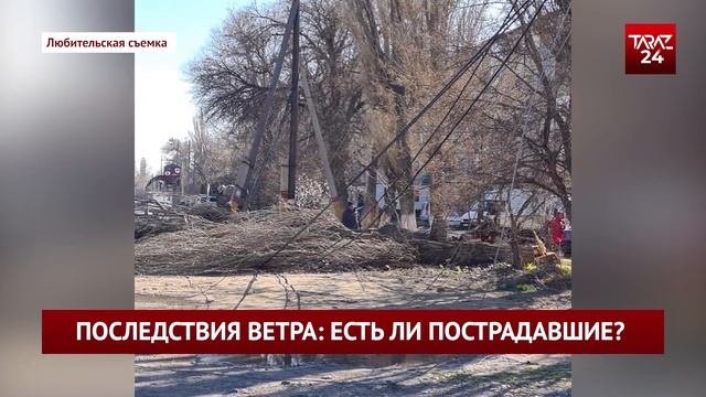 ПОСЛЕДСТВИЯ ВЕТРА: ЕСТЬ ЛИ ПОСТРАДАВШИЕ?