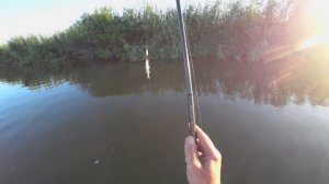 Рыбалка в дельте, с ночёвкой. Разведка новых мест. Рыбалка в Астрахани.