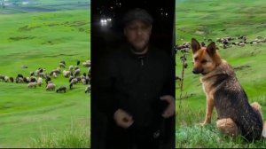 Подборка смешных анекдотов от   Дениса Пошлого