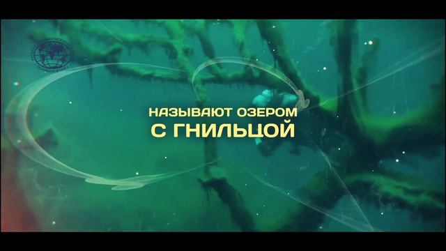 Где-то в мире. Озеро с гнильцой | @rgo_films
