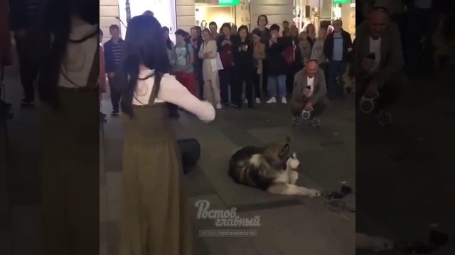 Уличная скрипачка в Ростове смотреть онлайн