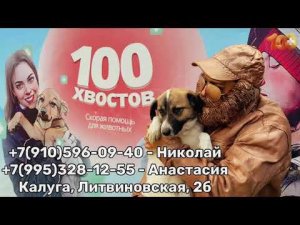 "100 ХВОСТОВ" Скорая помощь для животных