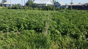 Прихрамовый комплекс у храма Архангела Михаила в селе Архангельское.