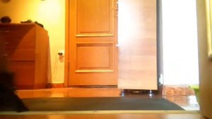 Flylady: Как почистить придверный коврик