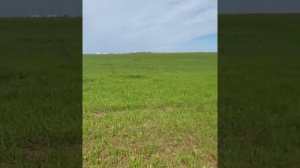 Земельный массив Крым Евпатория Село Молочное