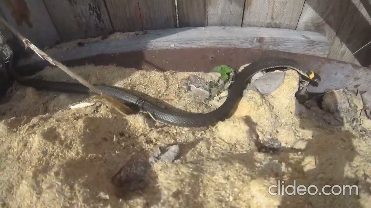 Не мешайте загорать! смотреть онлайн