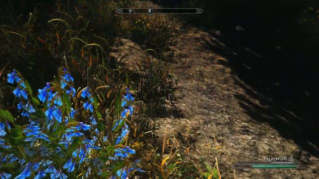 Skyrim Bigger Tree's mod, ENB, Flora, 2k Textures and many more смотреть онлайн