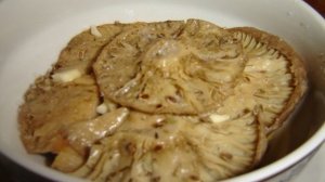 Засолка волнушек