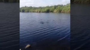 Башкирия. Озеро у поселка Ибрагимово.
