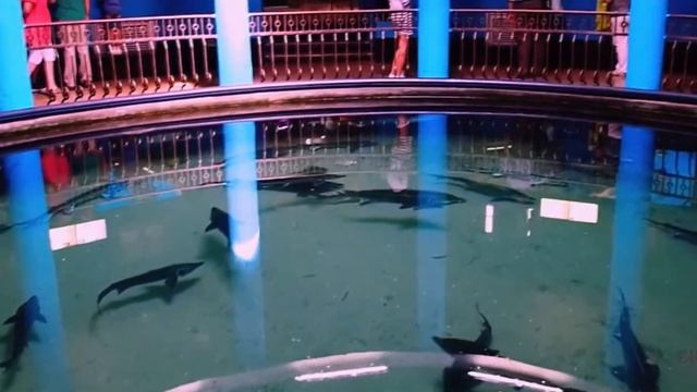 Ленинский район города Севастополя