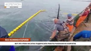 ВОТ ЭТО УЛОВ: КОСАТКА ПОДБРОСИЛА РАБОТЫ РЫБАКАМ НА КАМЧАТКЕ • БЕЗ КОММЕНТАРИЕВ