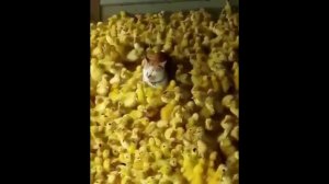 За что меня сюда?