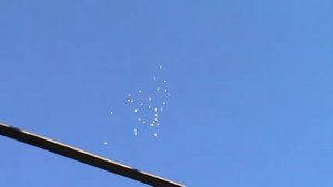 Полет пермских голубей