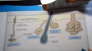 Как выбрать средство для умывания при прыщах?