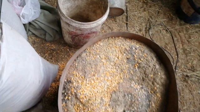 Комбикорм своими руками в домашних условиях