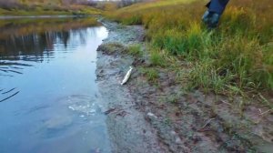 РЫБАЛКА и ОХОТА  в ТУРУХАНСКЕ! Дикие места Красноярского края!