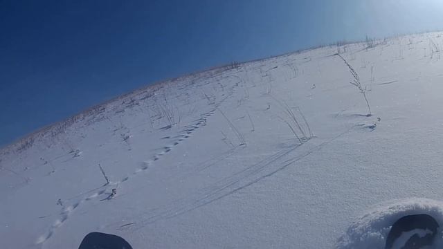 По следу зайца в глубоком снегу смотреть онлайн
