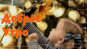 Доброе Утро! Просыпайся!