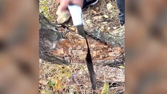 ОТЛИЧНЫЙ, НУЖНЫЙ ИНСТРУМЕНТ! ДЛЯ ДОМА И ДАЧИ! И СТОИТ НЕДОРОГО!