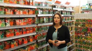 ? ПЧЕЛООПЫЛЯЕМЫЕ ГИБРИДЫ ОГУРЦОВ. Партенокарпические огурцы.