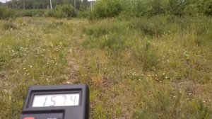 DT-1130 - измеряем электромагнитное поле под ЛЭП