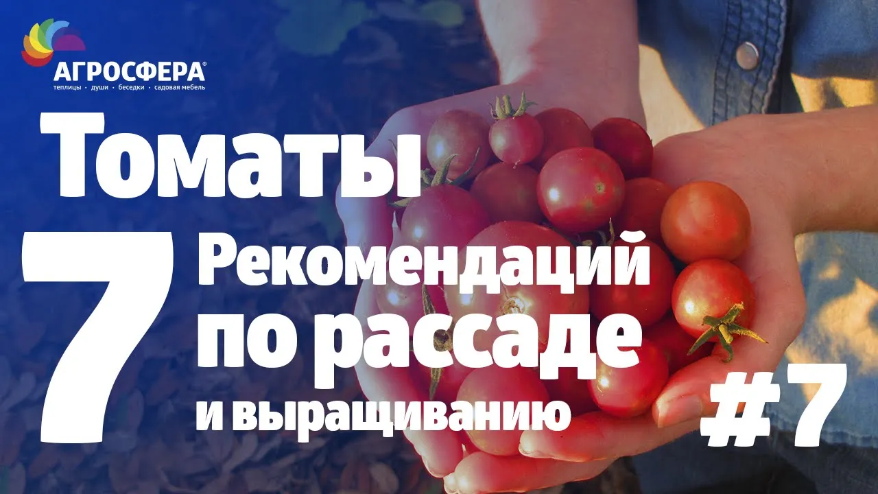 Советы для дачи и сада #7 - рассада томатов / агросфера.рф смотреть онлайн