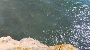 Крым. Оленёвка в сентябре