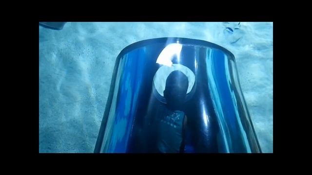 Погружение в морской аквариум / dive in the marine aquarium смотреть онлайн