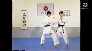 Hapkido kicks