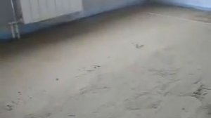 Выравнивание правилами. Полусухая стяжка пола.