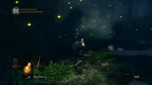 Dark Souls Prepare to Die Edition part 20 [Blind] (Darkroot Garden, Elite Knight set)