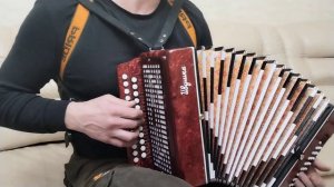 Гармонь «Ивушка». В лесу прифронтовом.