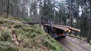 TATRA PHOENIX 8X8 | Nakládka dřeva na úzké cestě