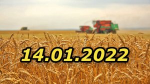 Страшное предупреждение России миру 14.01.2022 Куда нас толкают политики Запада. Политика хитрости