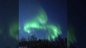 Северное сияние в Якутии, свежее видео