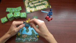 Каркассон: Амазонка. Обзор и правила.