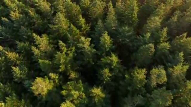 Сура Аль Мульк " Власть" Чтец Мухаммад Тарик смотреть онлайн