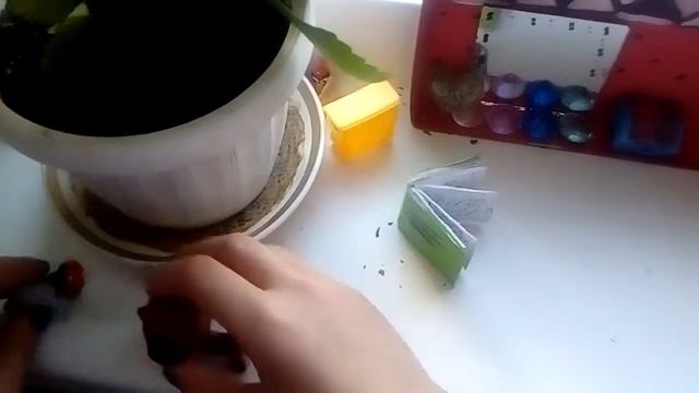 Lps сериал: жизнь Френ смотреть онлайн