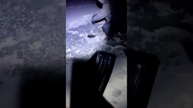 Поход за налимом. (Казахстан, Акмолинская область, Жаркаинский район, город Державинск) смотреть онлайн