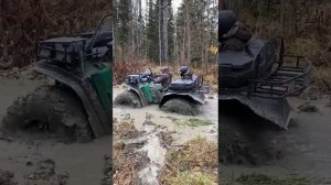 сокол , болотоход , квадроцикл , маршрут от маяка