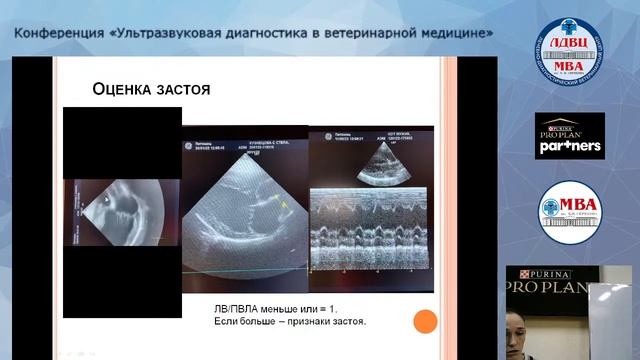 ЛДВЦ МВА Ультразвуковая диагностика в ветеринарной медицине