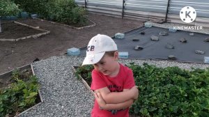 1159. ВСТРЕЧА ОДНОКЛАССНИКОВ. ТВОРЧЕСТВО. И СПОРЫ И ПЕСНИ!