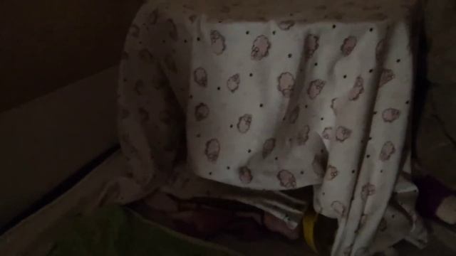 Сфинкс Первые роды смотреть онлайн