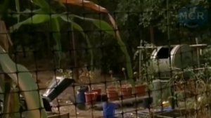 а наш князь тем временем спешил в шамаханское царство