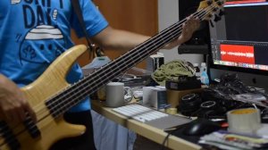 Your Love Awakens Me - Phil Wickham (Bass Cover)