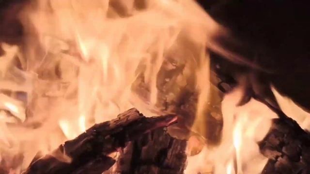 Смотри, слушай и бери силы у одной из стихий природы, стихии огня. Живой огонь.Шум ветра.Лай собаки