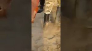 Рыбалка в Мингечауре. Азербайджан...  Кура, сазан